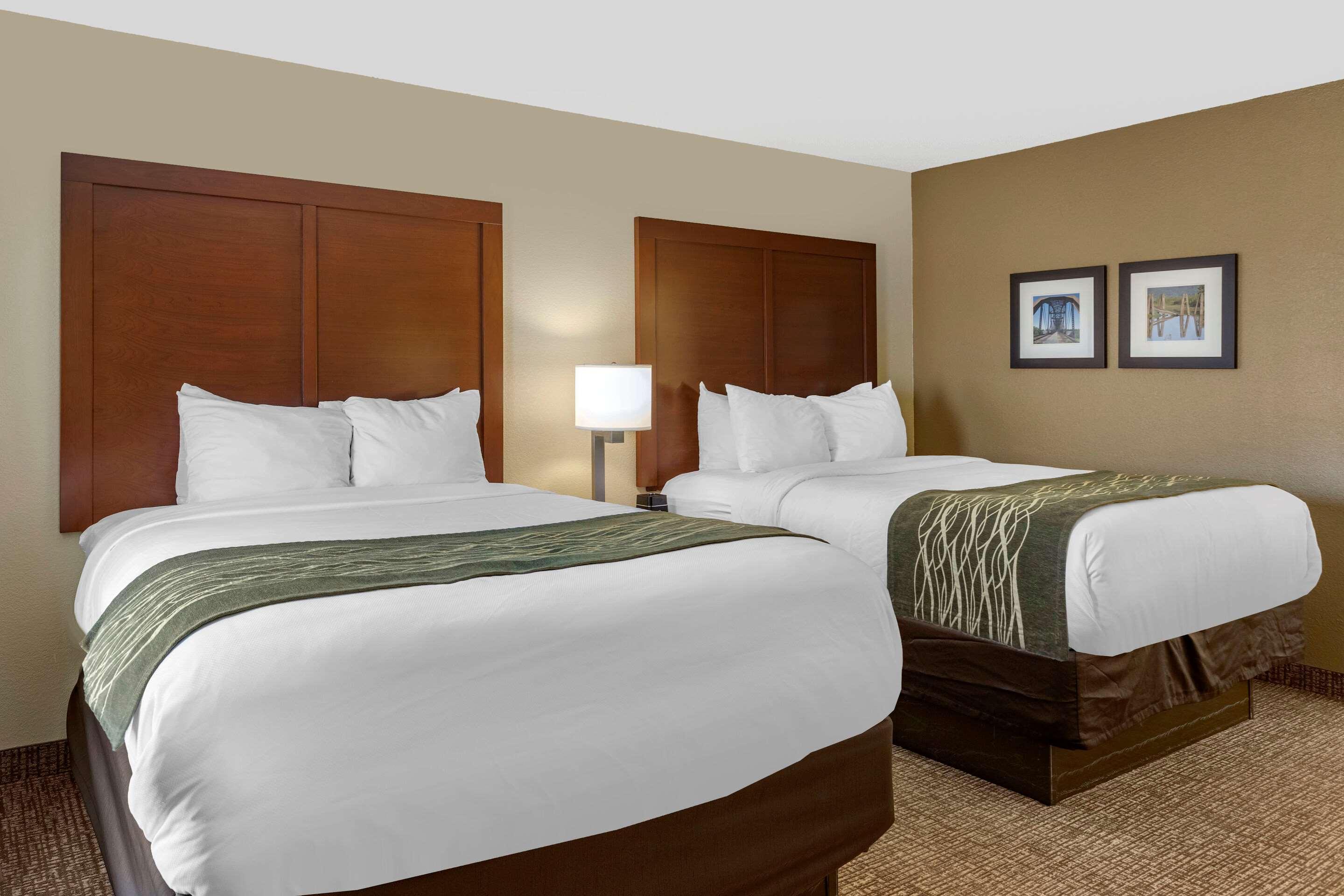 Comfort Inn & Suites Airport Little Rock Exterior foto
